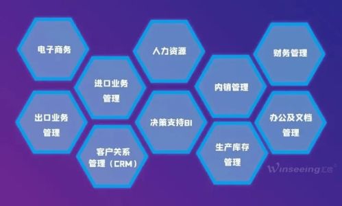 匯信軟件入選山東省優秀軟件企業 標志性軟件產品項目